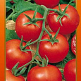 Томат (Помидор) обыкновенный Увертюра НК F1